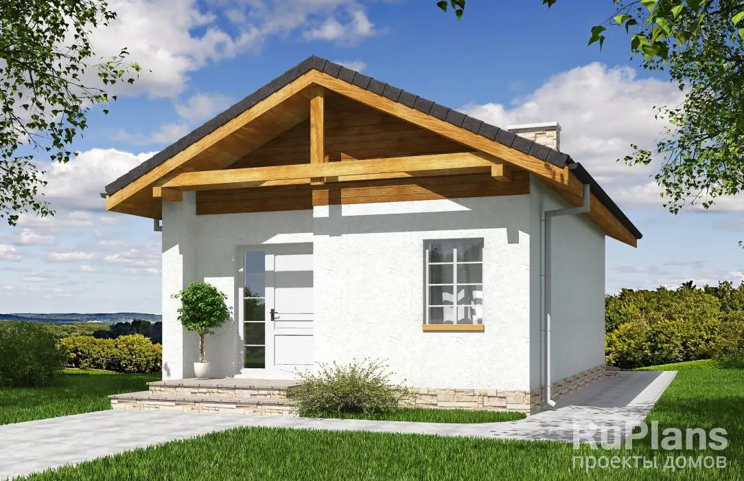 Проект одноэтажного дома 37 м², 11,8 × 5 м — фото 1